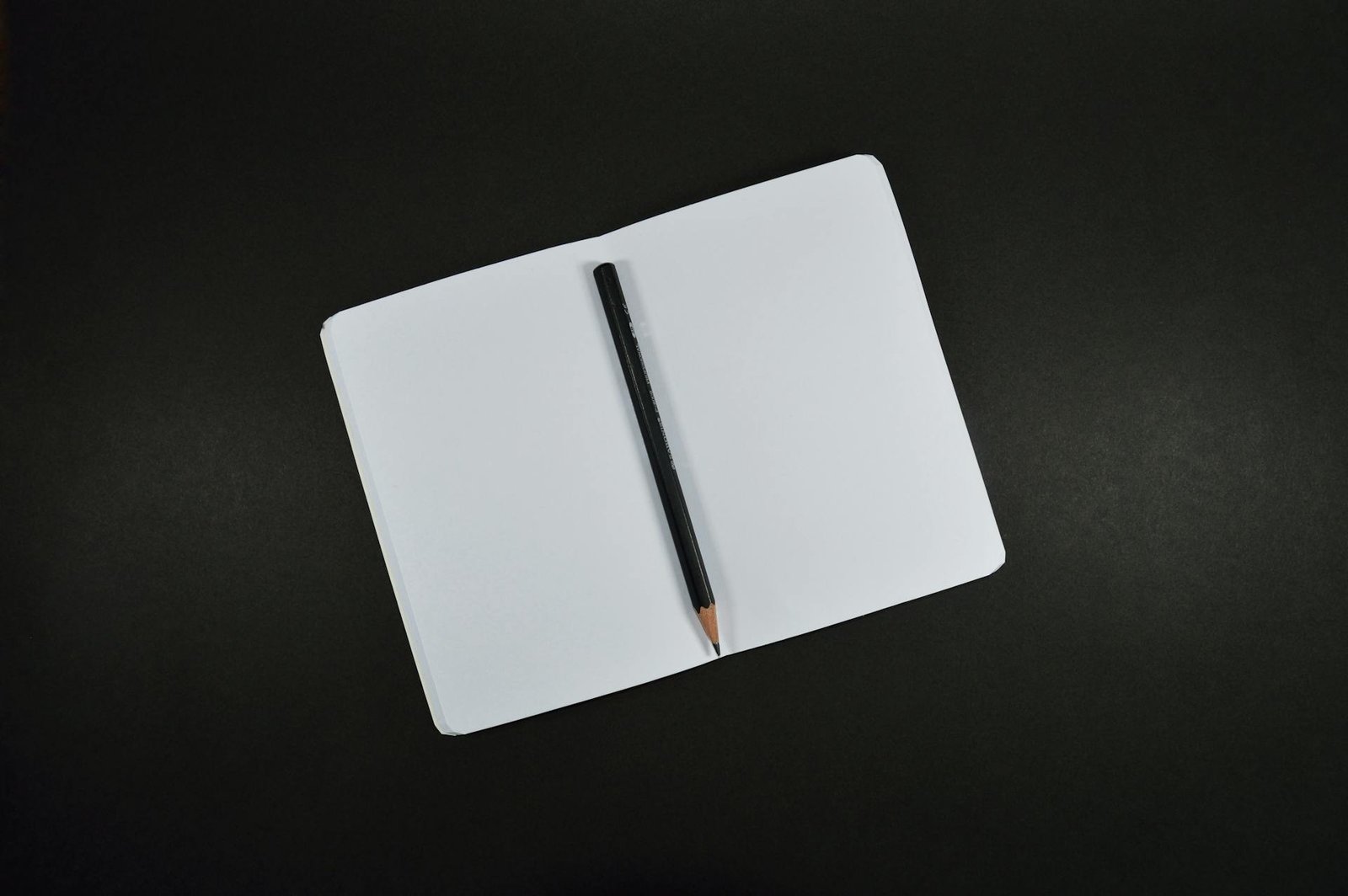 What is the Difference Between a Journal and a Diary?